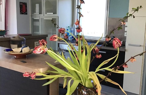 Plougastel-Daoulas House | Holiday house Plougastel Daoulas for 1 - 6 persons with 3 bedrooms - Holiday house
