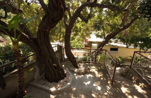 Cove Rogacic House | Holiday house PAULO2 - great location near the sea - Cove Rogacic (Vis), Island Vis, Croatia