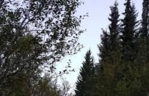 Laugarvatn House | Holiday house Laugarvatn for 1 - 4 persons with 2 bedrooms - Holiday home