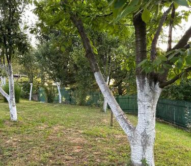 Sarajevo Villa | Holiday house Sarajevo