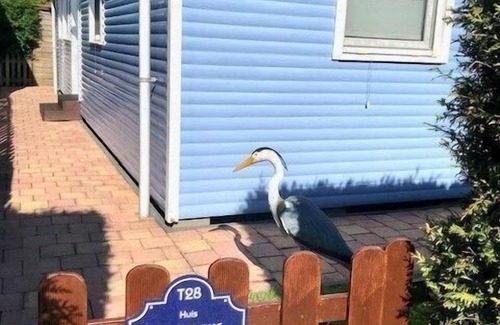 Onderdijk House | Holiday house Wervershoof for 1 - 4 persons with 2 bedrooms - Holiday house