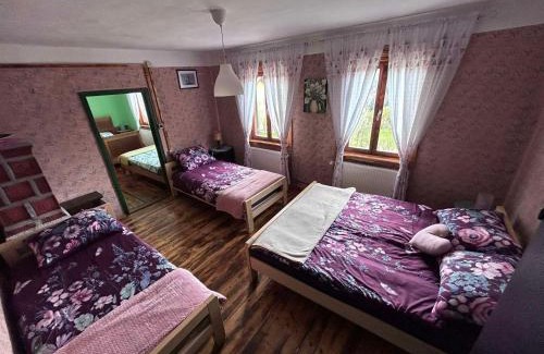 Cabar House | Holiday house with a parking space Kamenski Hrib, Gorski kotar - 24427