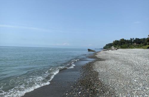 Mtsvane Kontskhi House | Holiday in Makhindjauri