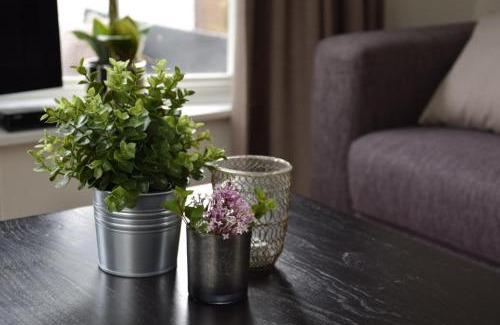 Oisterwijk Ski Chalet | Holiday Inn 30 Oisterwijk # Hygiëne # Airport Eindhoven # Airco # Bosrijk # Hiking & Biking # Efteling # Safaripark