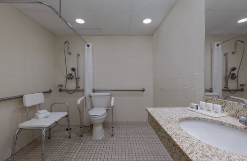 Greater South Side Hotel | Holiday Inn Des Moines-Airport/Conf Center by IHG