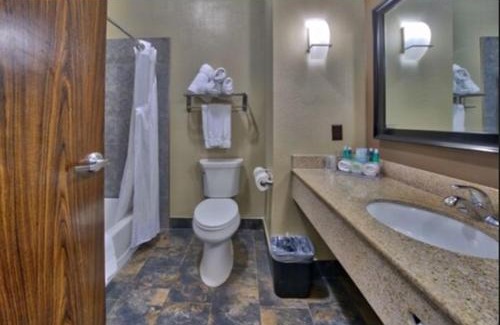 Lubbock Hotel | Holiday Inn Express and Suites Lubbock South by IHG