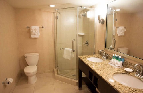 Hanover Hotel | Holiday Inn Express Baltimore-BWI Airport West by IHG