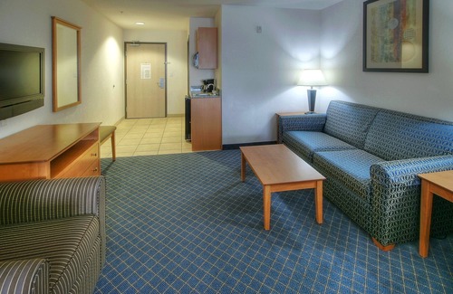 Carlsbad Hotel | Holiday Inn Express Carlsbad by IHG