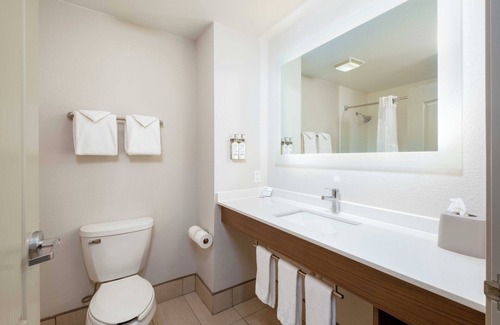 Carlsbad Hotel | Holiday Inn Express Carlsbad by IHG