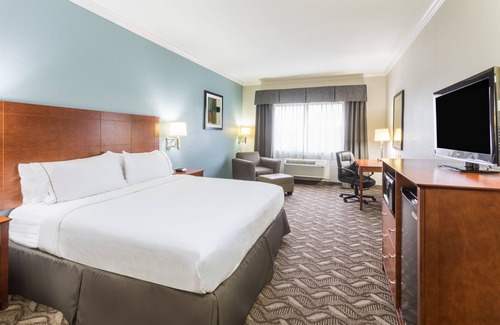 Lake Charles Hotel | Holiday Inn Express Hotel & Suites Lake Charles by IHG