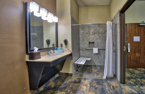 Lubbock Hotel | Holiday Inn Express Hotel & Suites Lubbock South by IHG