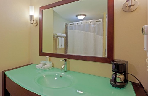 Spring Hill Hotel | Holiday Inn Express Suites Charleston by IHG