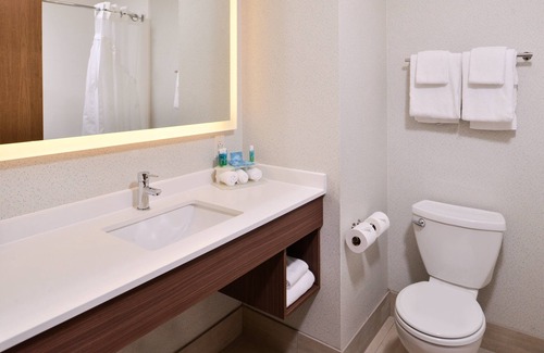 Lacey Hotel | Holiday Inn Express & Suites Lacey – Olympia by IHG
