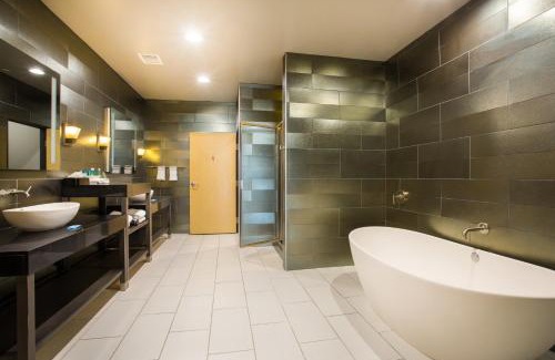 Soncy Hotel | Holiday Inn Express & Suites Amarillo West by IHG