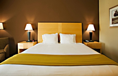 Borger Hotel | Holiday Inn Express & Suites Borger by IHG