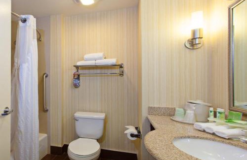 Midland Hotel | Holiday Inn Express & Suites Midland Loop 250 by IHG
