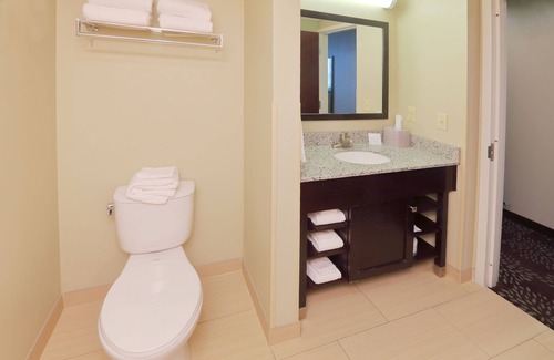 Green Tree Hotel | Holiday Inn Express & Suites Pittsburgh West - Greentree by IHG