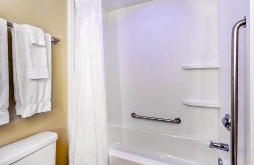 Silver Springs Hotel | Holiday Inn Express Silver Springs - Ocala by IHG