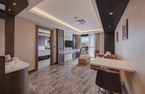 Kayseri City Center Hotel | Holiday Inn Kayseri - Duvenonu by IHG