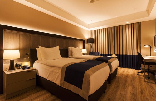 Kayseri City Center Hotel | Holiday Inn Kayseri - Duvenonu by IHG