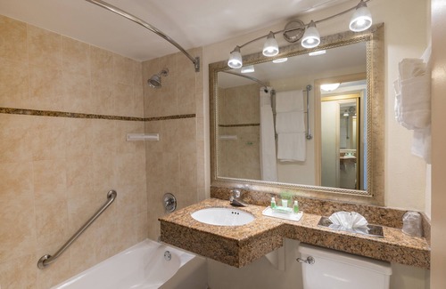 Downtown Miami Hotel | Holiday Inn Port of Miami - Downtown by IHG