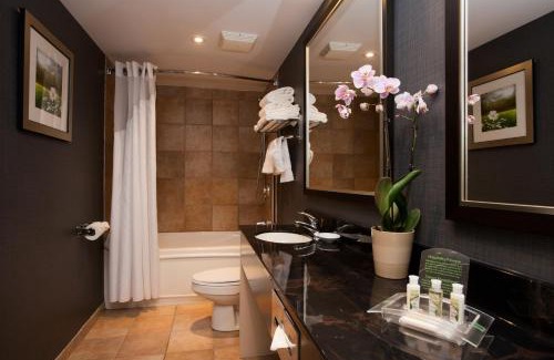 Mississauga Hotel | Holiday Inn & Suites Mississauga West - Meadowvale by IHG