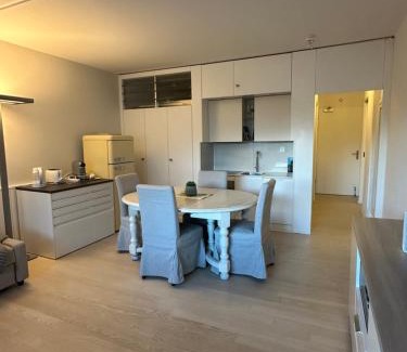 Bissone Apartment | Holiday on The Lake Lugano 2