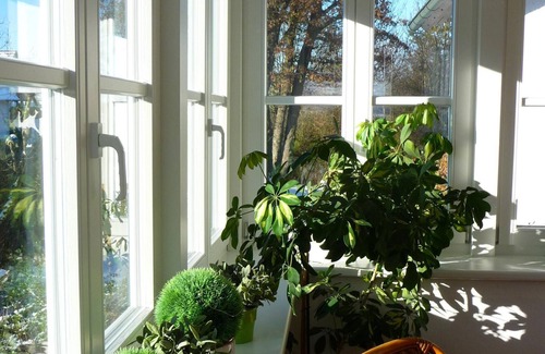 Cortendorf Apartment | Holiday to feel good in the Coburger "Ferienhaus Denkmalsweg"