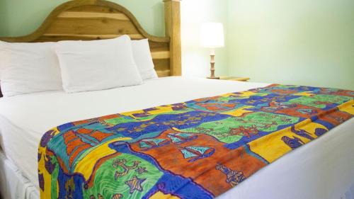 Runaway Bay Bed & Breakfast | Holidays At Holiday Heaven