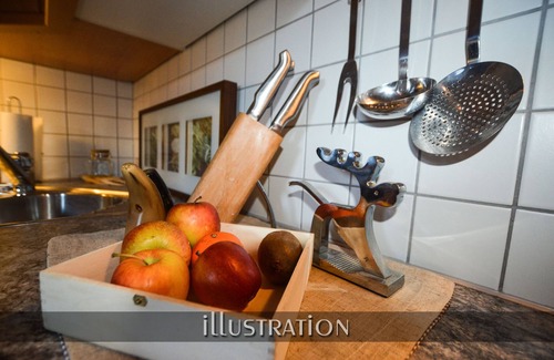Hollersbach im Pinzgau Apartment | Hollersbach: large Apt for adepts, families, kids & pets