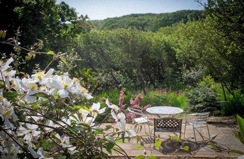 Fairlight Cottage | Hollyoak Sanctuary, boutique woodland lodge set in the heart of East Sussex