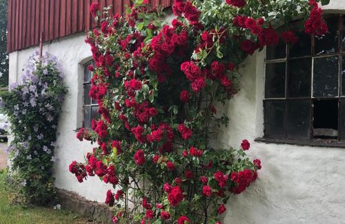 Holm Cabin | Holms Heagård