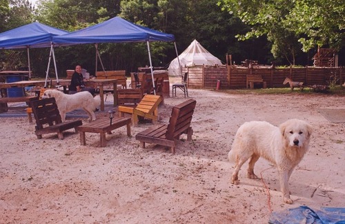 Tallahassee RV Rental | Holt’s Hideaway GLAMP Farmstay