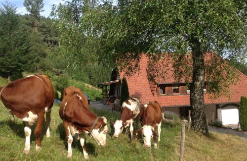 Triberg im Schwarzwald Apartment | Holzbildhauerei Kammerer