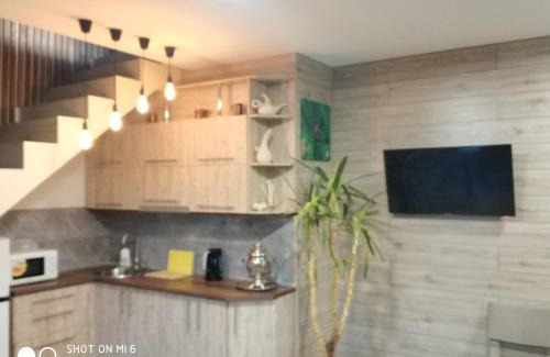 Darnyckyj Villa | Home and SPA