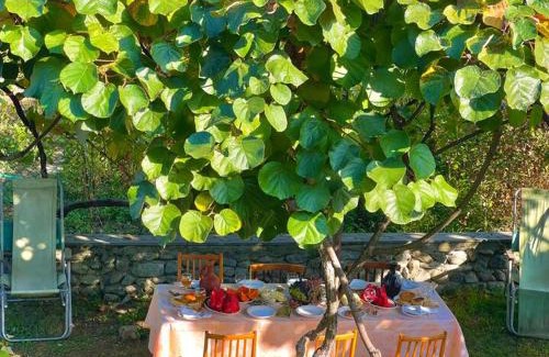 Lagodekhi House | Home Inn-Guesthouse