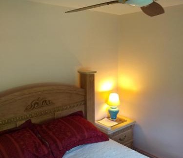 Lynchburg House | Home Sweet Home Suite #3, near Liberty University, and Lynchburg Hospital, Deluxe Queen Size Bedroom