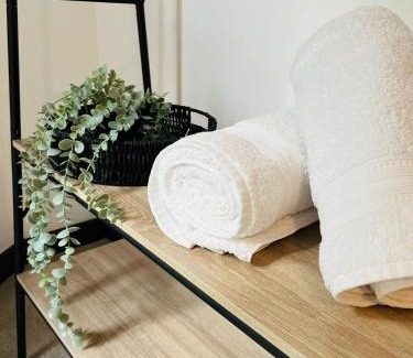 Maidstone Apartment | Homelike Apartment- Perfect For Contractors, Business Trips - Long Stays