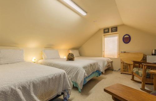 Homer Bed & Breakfast | Homer Stay and Play