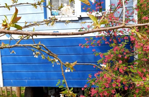 Hamois House | Homerez - Charming Caravan Near Hamois with Garden