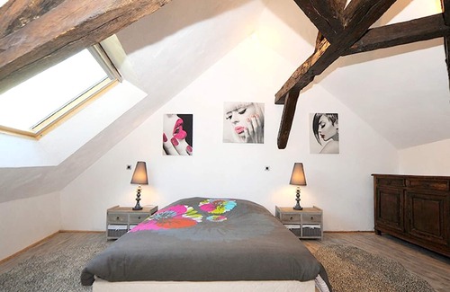 Vernou-sur-Brenne Other | Homerez - Mansion for 15 ppl. with swimming-pool, jacuzzi, garden and terrace