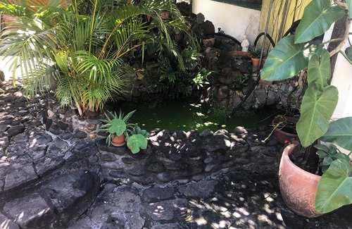 Basse-Terre Apartment | Homerez - Studio Basse Terre, garden view