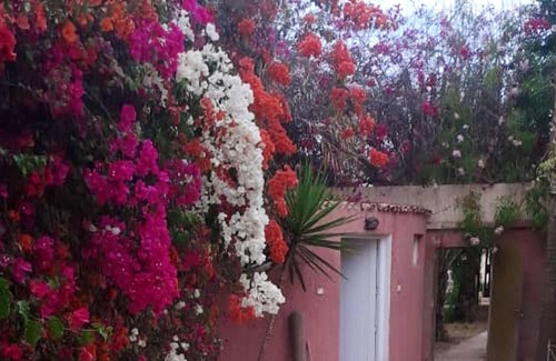 Dcheira El Jihadia Villa | Homerez - Villa for 12 ppl. with swimming-pool, spa and garden at Souss Massa