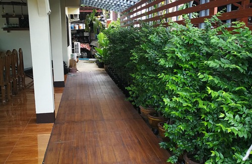 Chiang Rai House | Homestay and vegetable garden, non-toxic.