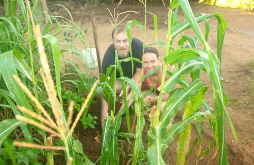 Anuradhapura Other | HOMESTAY CAMPING ANURADHAPURA
