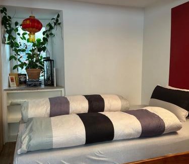 Waldshut-Tiengen Apartment | Homestay