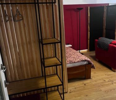Waldshut-Tiengen Apartment | Homestay