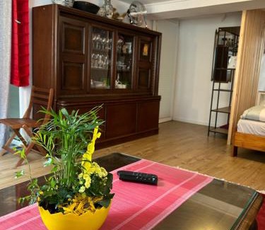 Waldshut-Tiengen Apartment | Homestay