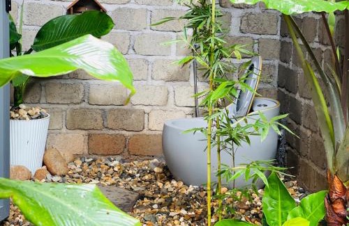 Dak R'Lap Cabin | Homestay Garden view