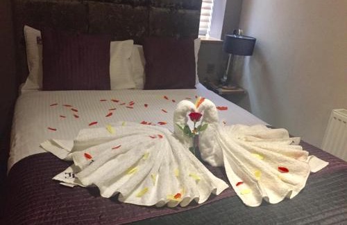 London Borough of Hounslow Hotel | Homestay Hotel Heathrow